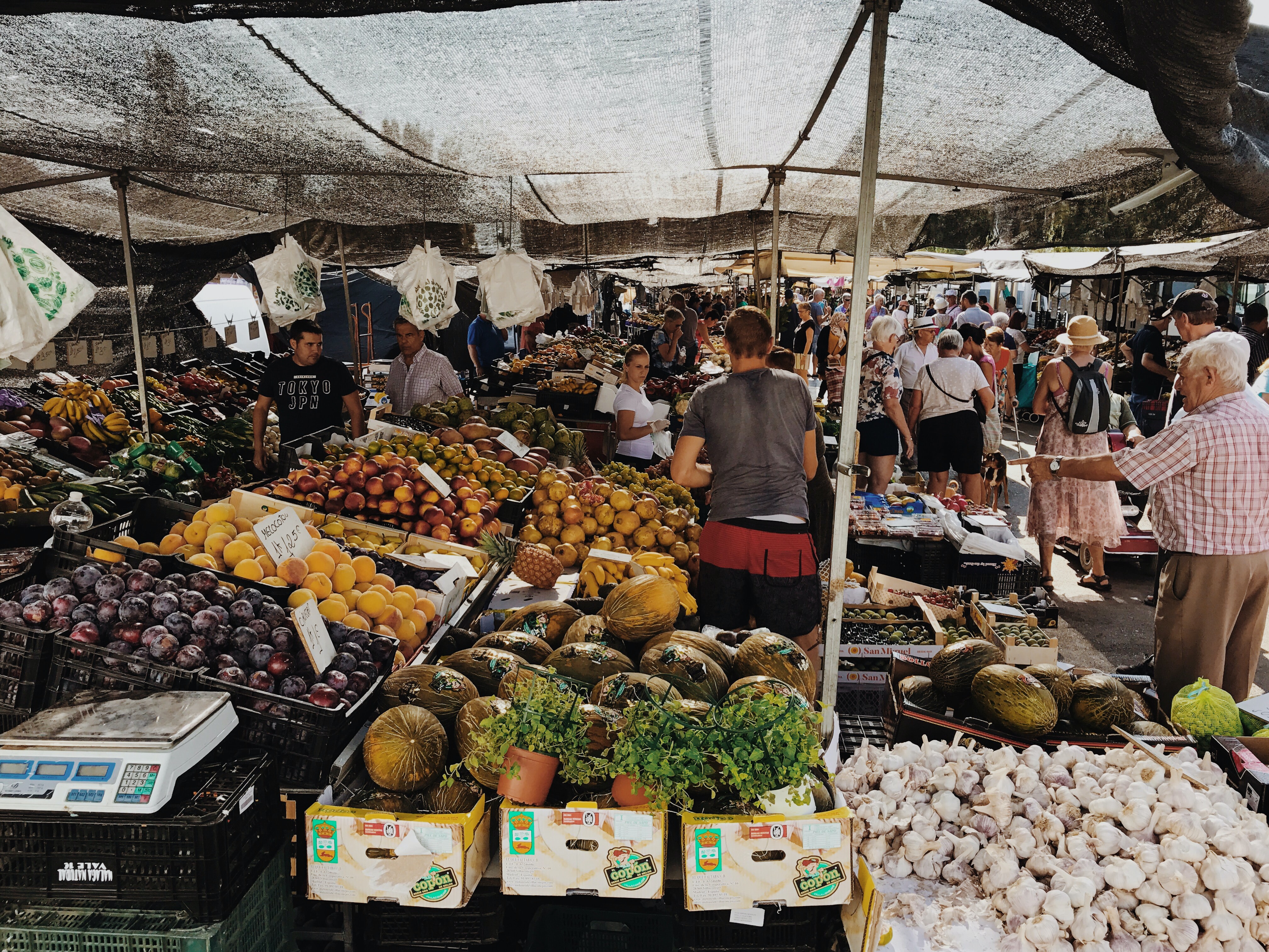 Gemüsemarkt Fuengirola