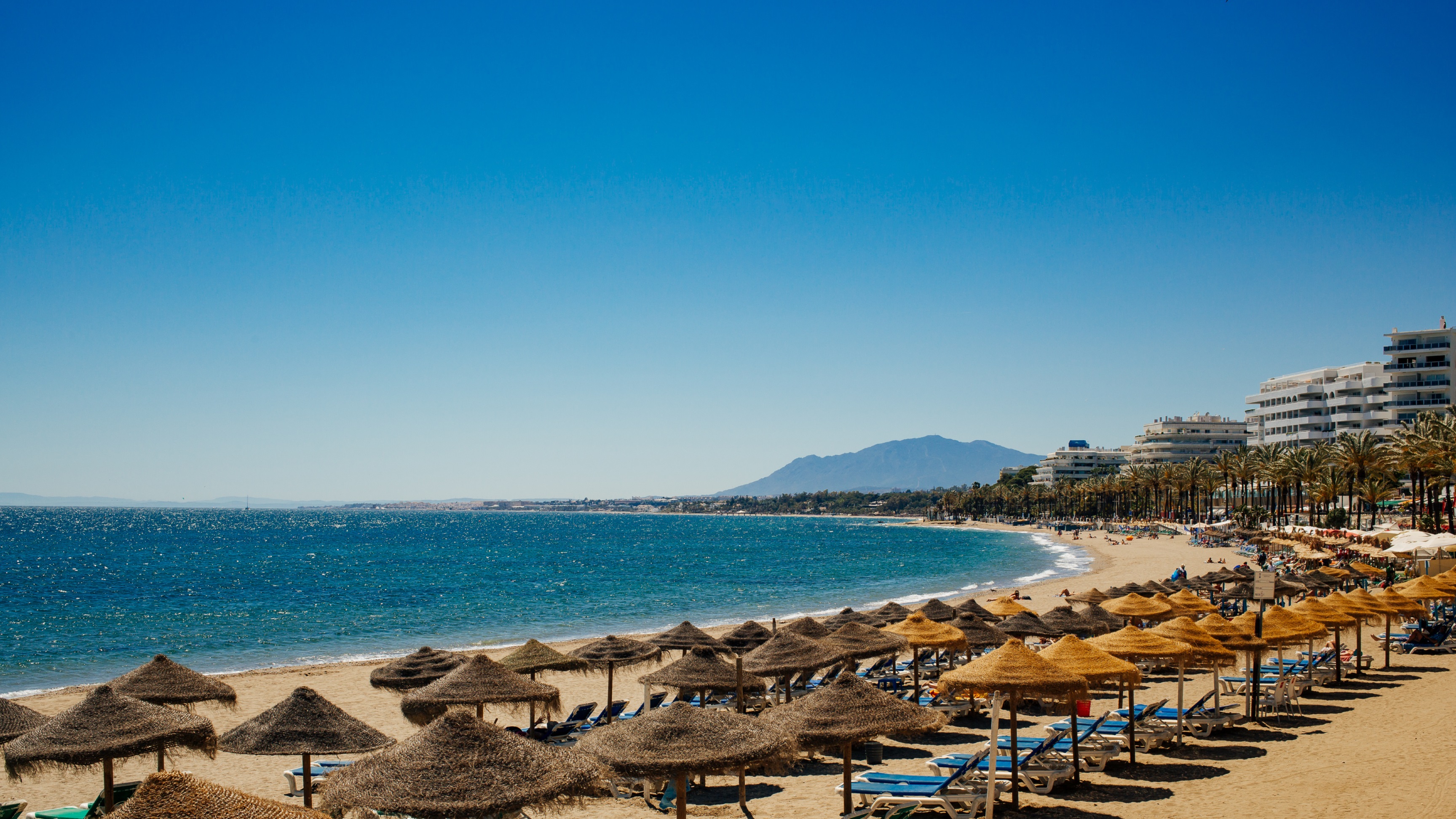 Tjäna bra tillsammans med ett vinnande team i Marbella!