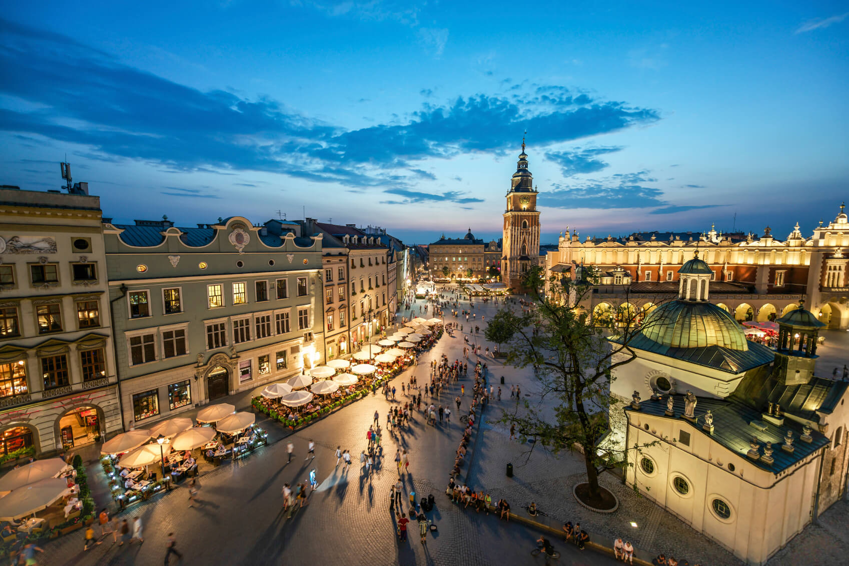 Customer Service Professional - Dutch Speaker