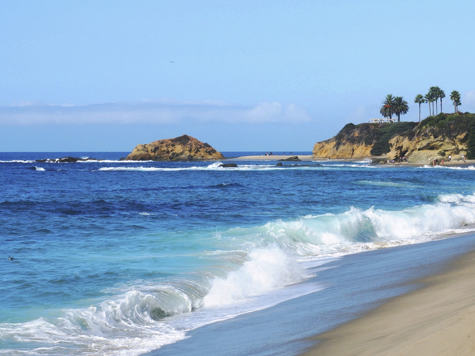 Swedish Claims Coordinator